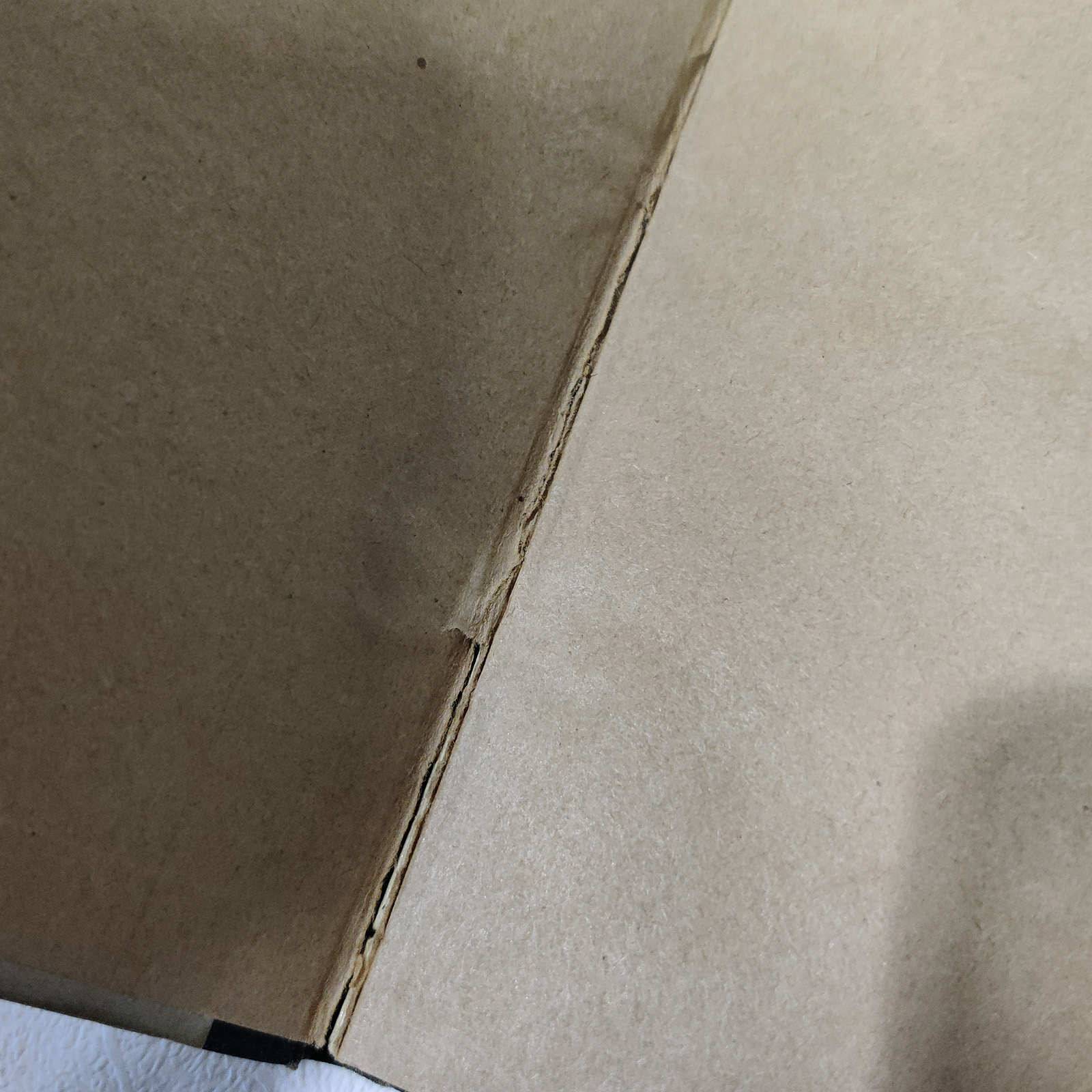 Lypsylehmien hoito ja ruokinta, N. P. J. Buus,1891 - 5